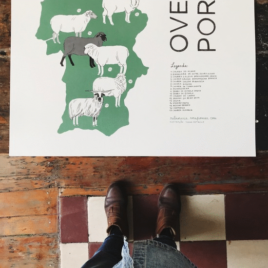 Novidades da Retrosaria