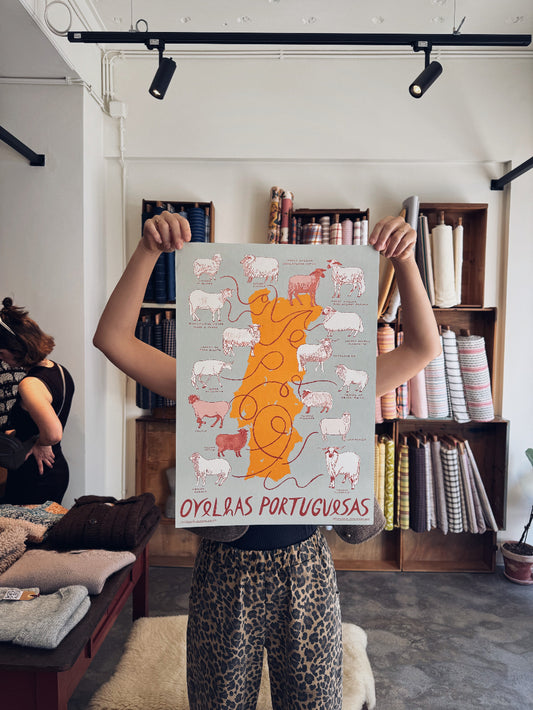 Portuguese native sheep breeds print by Rosa Pomar, illustrated by Mariana Margarida Malhão