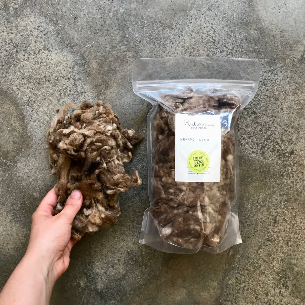 Native Portuguese sheep wool for spinning and felting