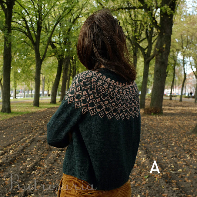 Azor sweater kit