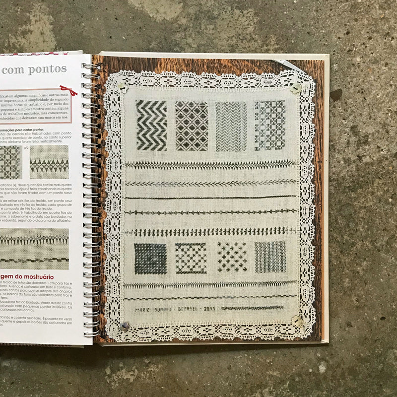 Meu Caderno de Bordado: Guia de pontos clássicos para o bordado contemporâneo