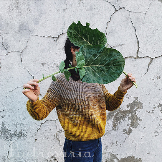 Kit camisola Cavalgante | Cavalgante sweater kit