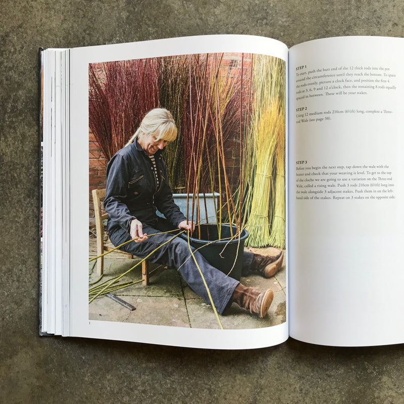 Willow: A Guide to Growing and Harvesting