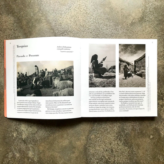 Cadernos de Campo: Onde a Lã Vive