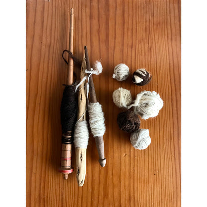 From Sheep to Yarn - Spinning Workshop with Alice Borges
