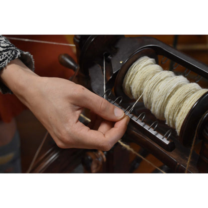 From Sheep to Yarn - Spinning Workshop with Alice Borges