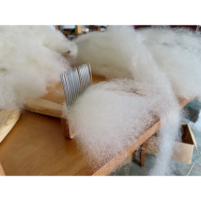 From Sheep to Yarn - Spinning Workshop with Alice Borges