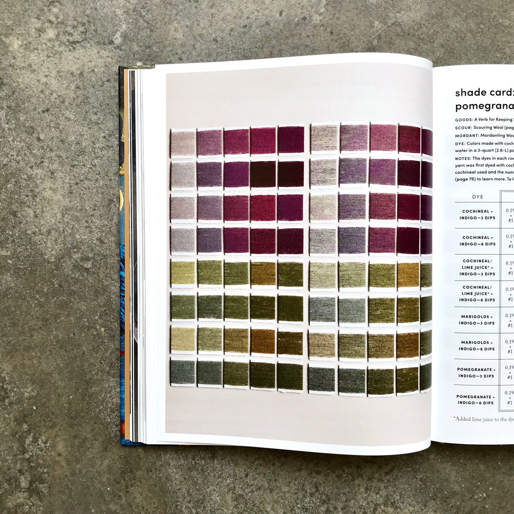 Journeys in Natural Dyeing