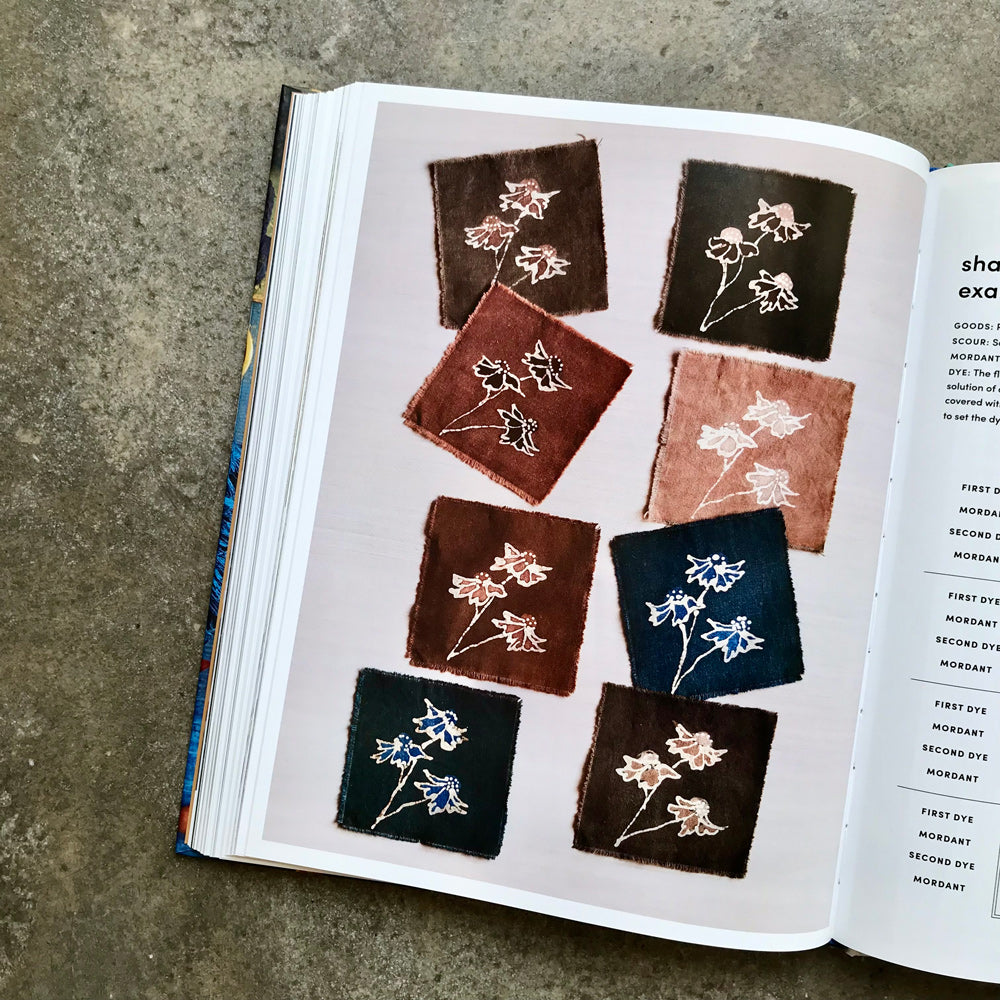 Journeys in Natural Dyeing