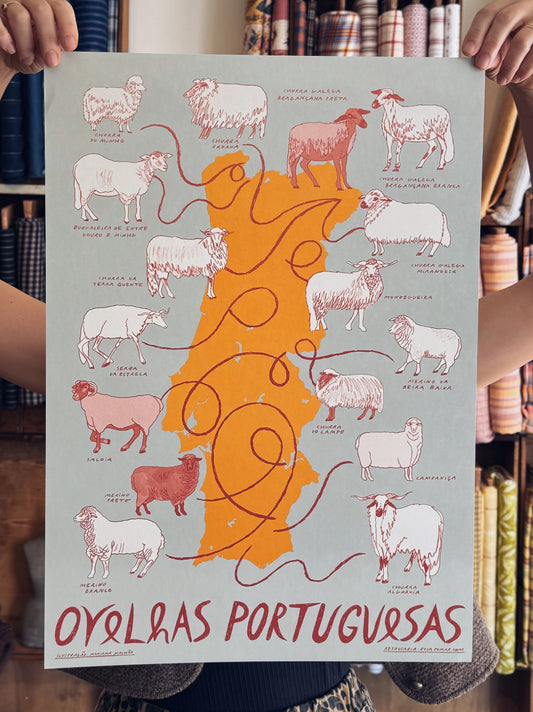 Portuguese native sheep breeds print by Rosa Pomar, illustrated by Mariana Margarida Malhão