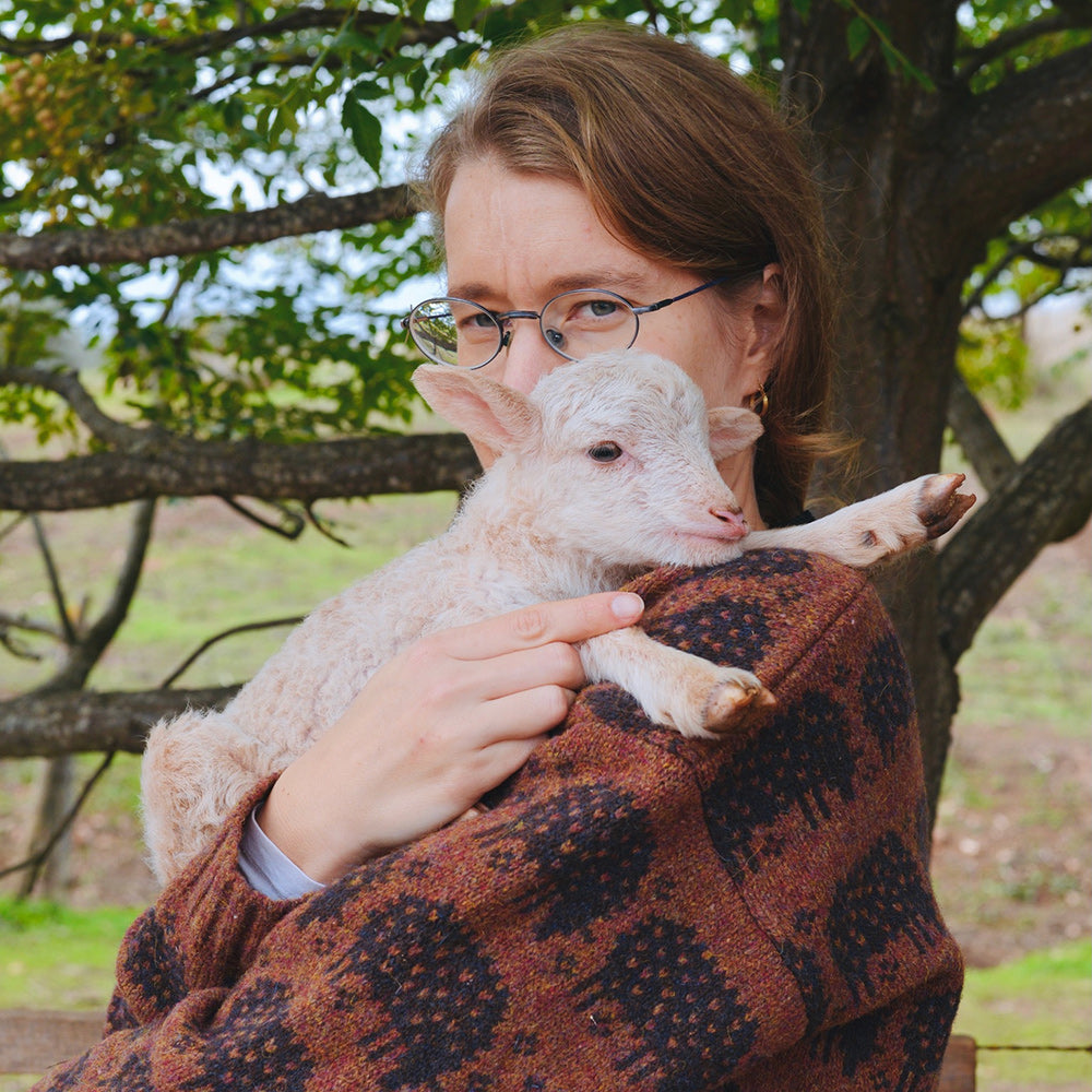 The Sheep Sweater by Rosa Pomar