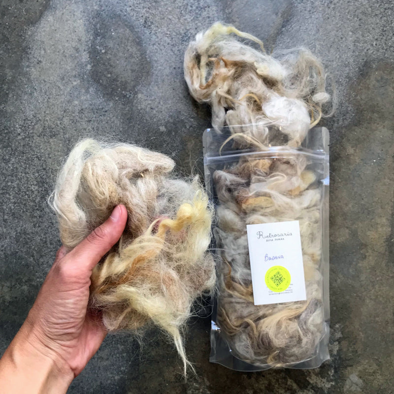 Native Portuguese sheep wool for spinning and felting