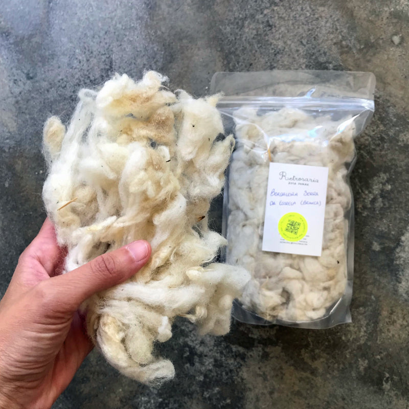 Native Portuguese sheep wool for spinning and felting