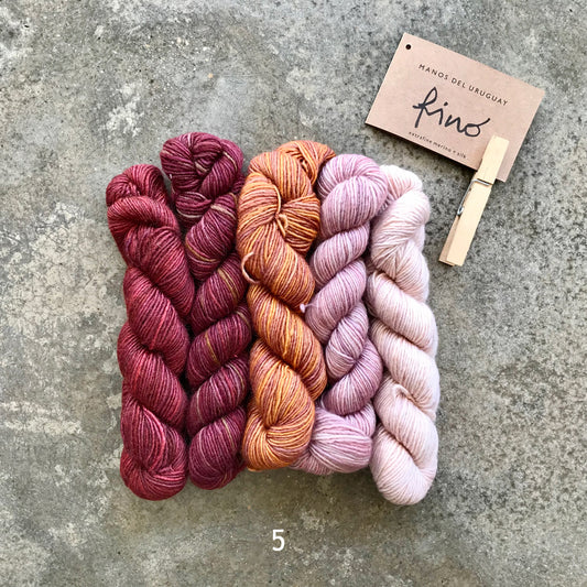 Manos del Uruguay Fino Mini Skeins