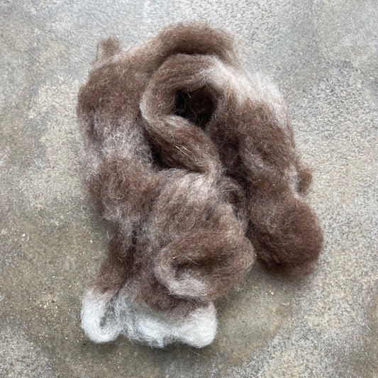 Carded wool