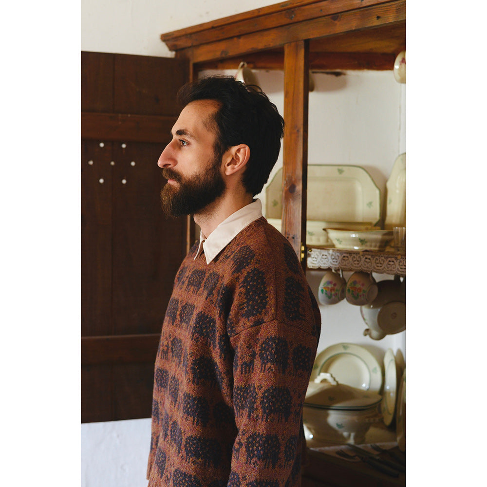 The Sheep Sweater by Rosa Pomar