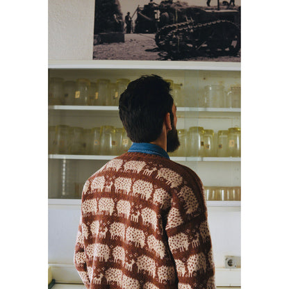 The Sheep Sweater by Rosa Pomar