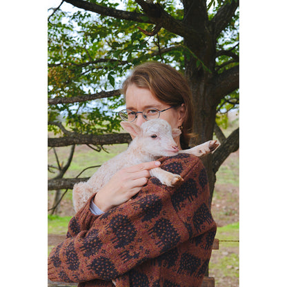 The Sheep Sweater by Rosa Pomar