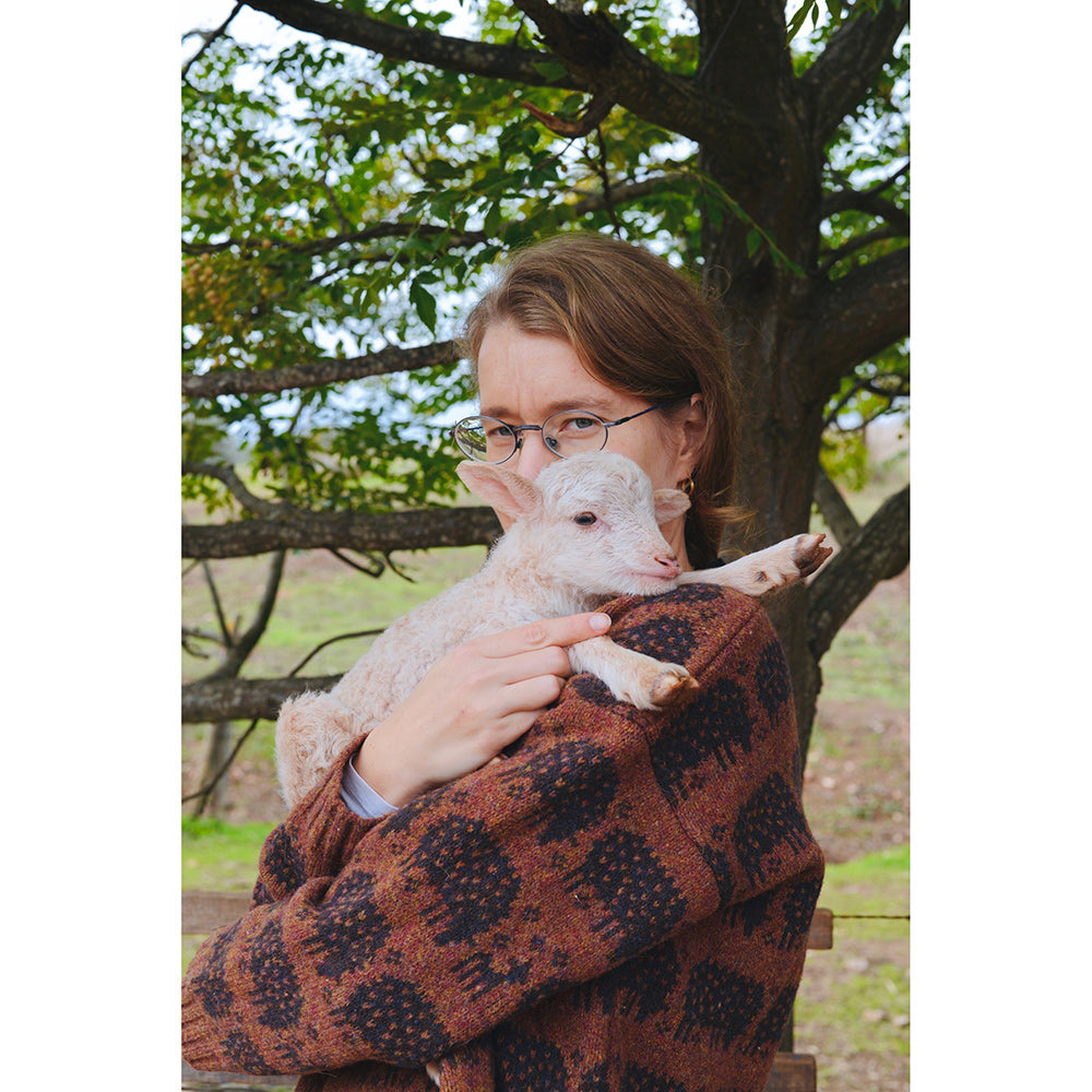 The Sheep Sweater by Rosa Pomar
