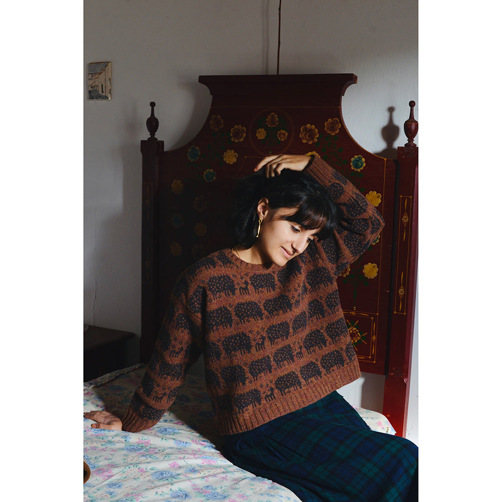 The Sheep Sweater by Rosa Pomar