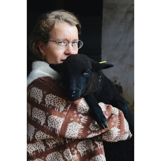 The Sheep Sweater by Rosa Pomar