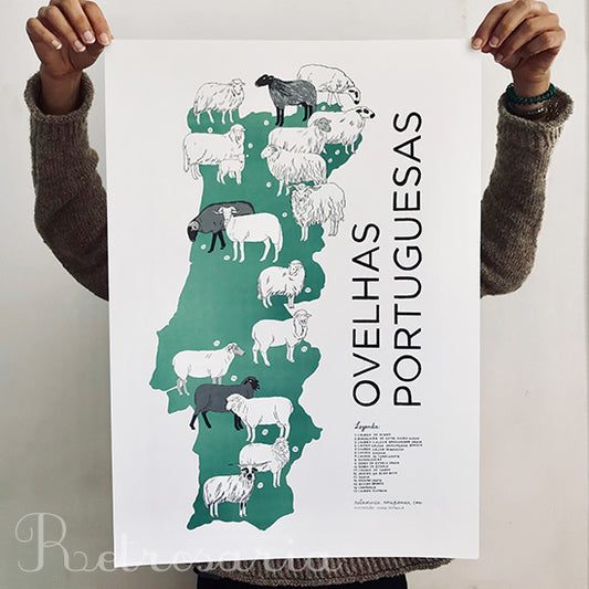 Poster Ovelhas Portuguesas