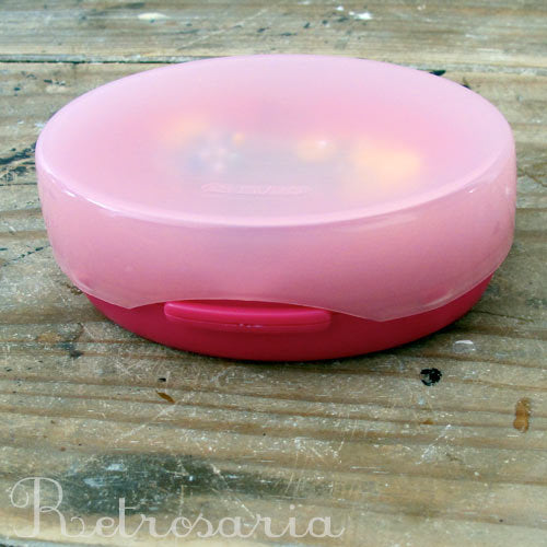 Alfineteira magnética Clover