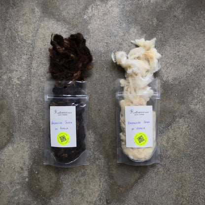 Lã de raças autóctones Portuguesas