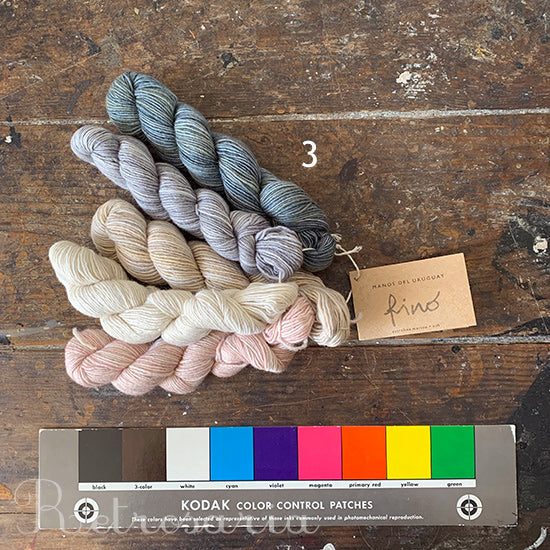 Manos del Uruguay Fino Mini Skeins