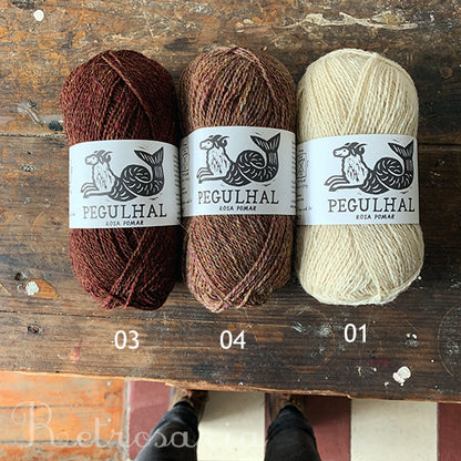Pegulhal yarn by Rosa Pomar