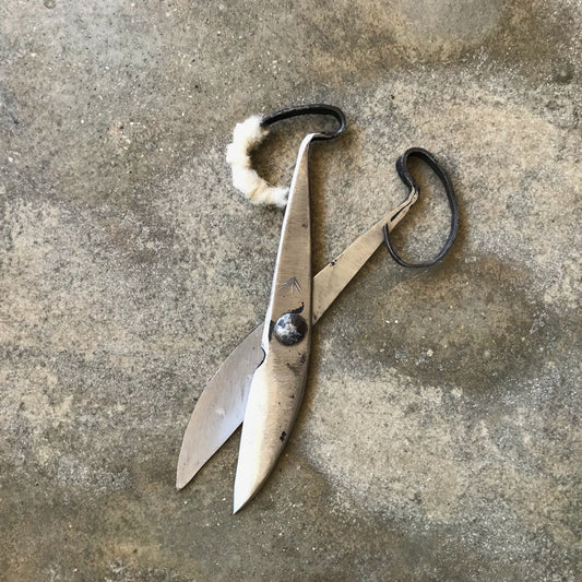 Tesoura de tosquia | Shearing scissors