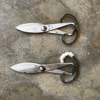 Tesoura de tosquia | Shearing scissors