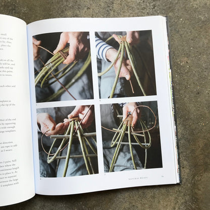Willow: A Guide to Growing and Harvesting