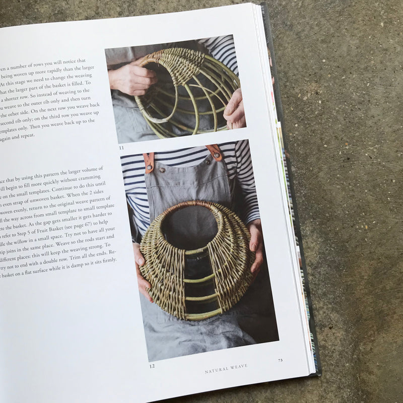 Willow: A Guide to Growing and Harvesting