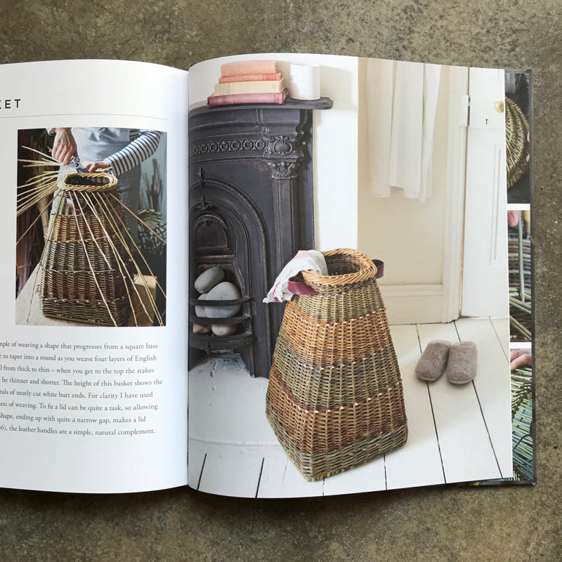 Willow: A Guide to Growing and Harvesting