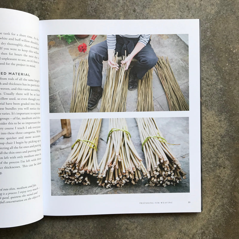 Willow: A Guide to Growing and Harvesting