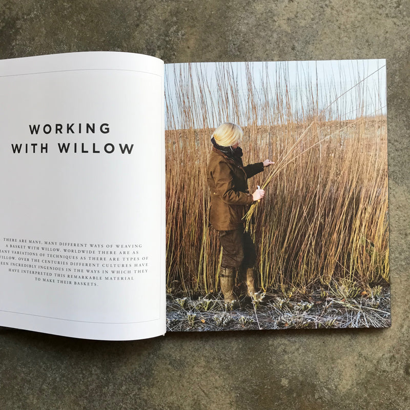 Willow: A Guide to Growing and Harvesting