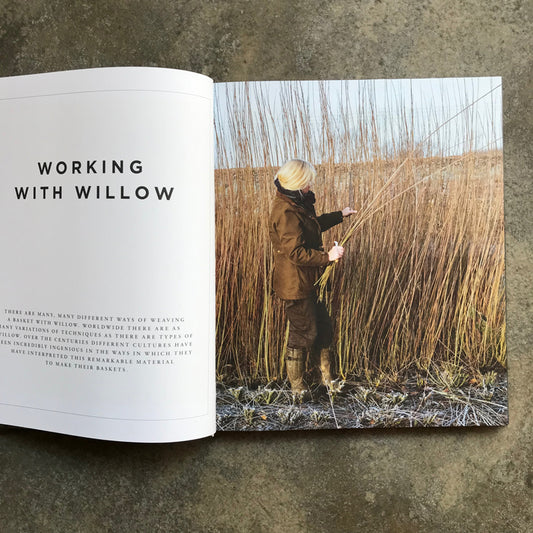 Willow: A Guide to Growing and Harvesting