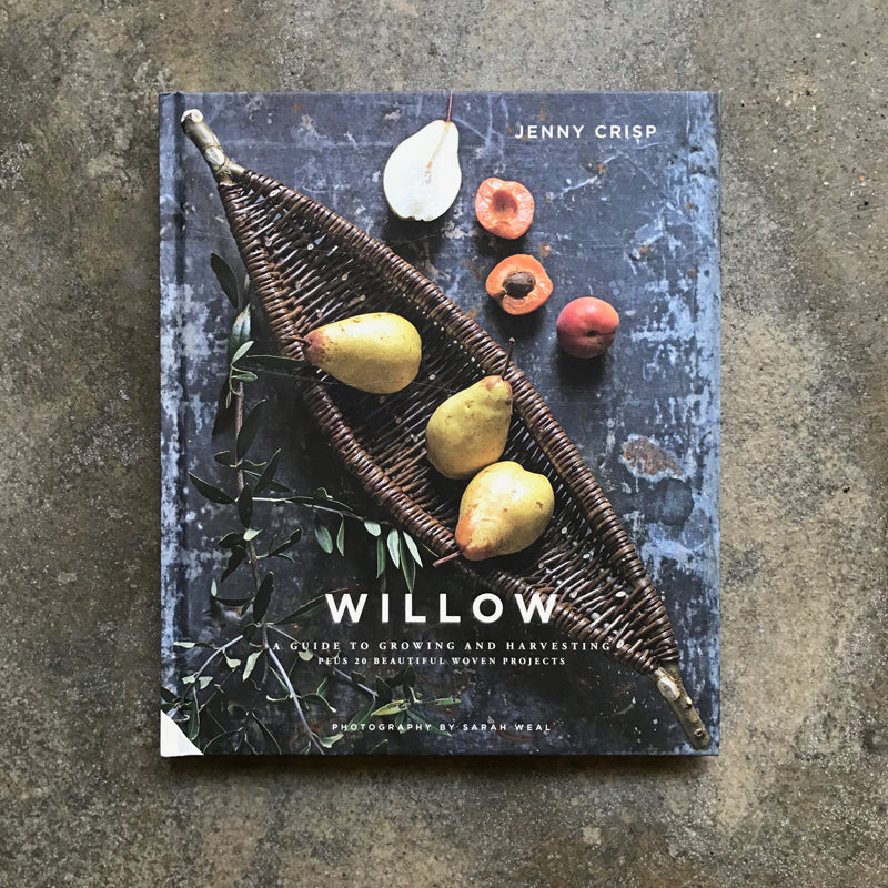 Willow: A Guide to Growing and Harvesting